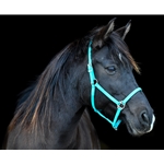 STABLE HALTER & LEAD made from BETA BIOTHANE (Solid Colored)