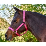 Heavy Duty STABLE HALTER made from NYLON