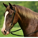BLACK WESTERN BRIDLE (One Ear or Two Ear Split Ear Browband) made from BETA BIOTHANE
