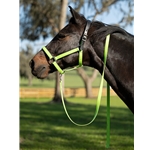 BETA BIOTHANE Safety Halter with Breakaway Leather Crown