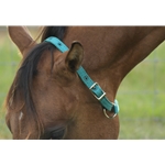 TURNOUT NECK COLLAR with LEATHER BREAKAWAY made with NYLON