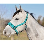 Lunging Cavesson with Padded Noseband Made from Beta Biothane – Two Horse Tack