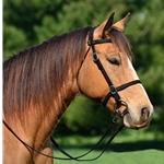 BLACK PICNIC BRIDLE or SIMPLE HALTER BRIDLE made from Beta Biothane