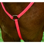 pink ENGLISH BREAST COLLAR made from BETA BIOTHANE (Solid Colored) 