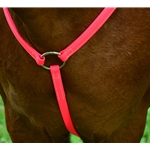 pink BETA BIOTHANE English Breast Collar