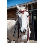 WESTERN BRIDLE with Futurity Knot Browband made from BETA BIOTHANE (Solid Colored)