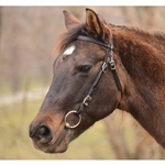 One Size Fits Most WESTERN BRIDLE made from BETA BIOTHANE (Solid Colored)