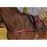 JUMPING ENGLISH BREAST COLLAR made from BETA BIOTHANE (Solid Colored)