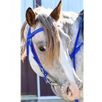 WESTERN BRIDLE with Futurity Knot Browband made from BETA BIOTHANE (Solid Colored)