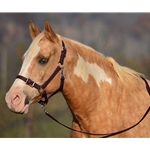 BROWN Buckle Nose Halter & Lead Beta Biothane