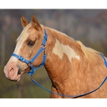 LIGHT BLUE Buckle Nose Halter & Lead Beta Biothane