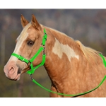 LIME GREEN Buckle Nose Halter & Lead Beta Biothane