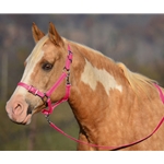 PINK Buckle Nose Halter & Lead Beta Biothane