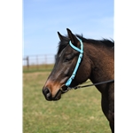 Western Split One or Two ear Bridle Made From Beta Biothane With Neoprene Padding - Two Horse Tack