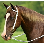 WESTERN BRIDLE (One Ear or Two Ear Split Ear Browband) made from BETA BIOTHANE (Solid Colored)