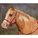 WINE Buckle Nose Halter & Lead Beta Biothane
