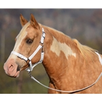 WHITE Buckle Nose Halter & Lead Beta Biothane