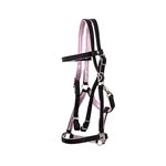 PADDED Traditional HALTER BRIDLE with BIT HANGERS made from BETA BIOTHANE with SHINY METALLIC LEATHER Padding