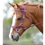 Sidepull Bitless Bridle made from Beta Biothane with Colored Synthetic Padding - Two Horse Tack