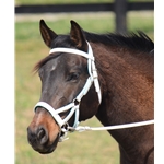 Sidepull Bitless Bridle made from Beta Biothane with Metallic Padding - Two Horse Tack