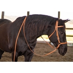 Western Style Bitless Bridle Made From Beta Biothane with No-Rub Padding - Two Horse Tack