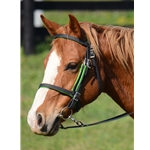 English Bridle with Cavesson Made From Beta Biothane with Colored Synthetic Padding - Two Horse Tack