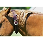 Any Color CRIBBING COLLAR made from USA Tanned LEATHER