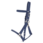 Quick Change HALTER BRIDLE with Snap on Browband made from BETA BIOTHANE (Solid Colored)