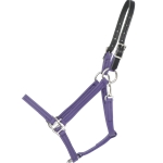 SAFETY HALTER & LEAD with Leather Breakaway Crown made from BETA BIOTHANE (Solid Colored)