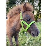 Any Color FIGURE 8 Style FOAL HALTER made from BETA BIOTHANE (Solid Colored)