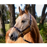 **BETTER THAN LEATHER** Buckle Nose Safety HALTER & LEAD made from 580 BETA BIOTHANE
