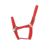 BETA BIOTHANE Safety Halter with Leather Breakaway Tab