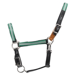 REFLECTIVE Safety HALTER & LEAD with BREAKAWAY LEATHER TAB made from Beta Biothane