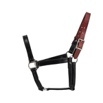 **BETTER THAN LEATHER** SAFETY HALTER & LEAD with Leather Breakaway Crown made from 580 BETA BIOTHANE