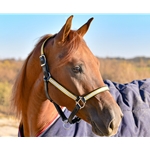 REFLECTIVE Safety HALTER & LEAD with BREAKAWAY LEATHER CROWN made from Beta Biothane