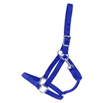 ROYAL BLUE Heavy Duty TURNOUT HALTER made from NYLON