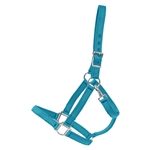 TURQUOISE Heavy Duty TURNOUT HALTER made from NYLON