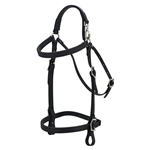 MULE BRIDLE made from BETA BIOTHANE