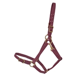 Buckle Nose Halter & Lead Beta Biothane Solid Colored