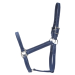 STABLE HALTER & LEAD made from BETA BIOTHANE (Solid Colored)