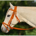 ORANGE ENGLISH BRIDLE with CAVESSON made from BETA BIOTHANE