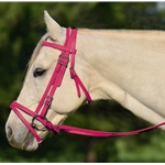 PINK ENGLISH BRIDLE with CAVESSON made from BETA BIOTHANE