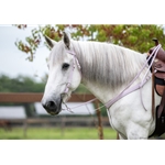 Save Money and Order a Bridle and Breast collar Tack Set - Two Horse Tack