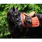 READY MADE - BLACK ENGLISH BRIDLE and REINS made from Beta Biothane