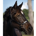 READY MADE - BLACK HALTER Made from Beta Biothane