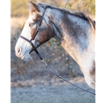 ENGLISH BRIDLE made from Beta Biothane (Solid Colored)