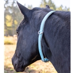 Get Grooming Neck Collar for Horses only at Two Horse Tack