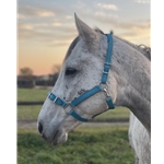 Buckle Nose Halter & Lead Beta Biothane Solid Colored