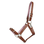 Buckle Nose Halter & Lead Beta Biothane Solid Colored