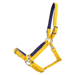 Buckle Nose Halter & Lead Beta Biothane Solid Colored